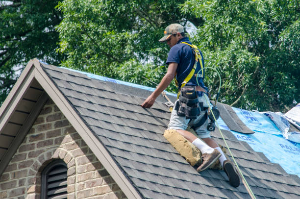 Quick and Trustworthy Emergency Roof Repair Services in Pine Castle, FL